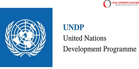 Undp Gender Equality Social Inclusion And Safeguards Gesi Specialist