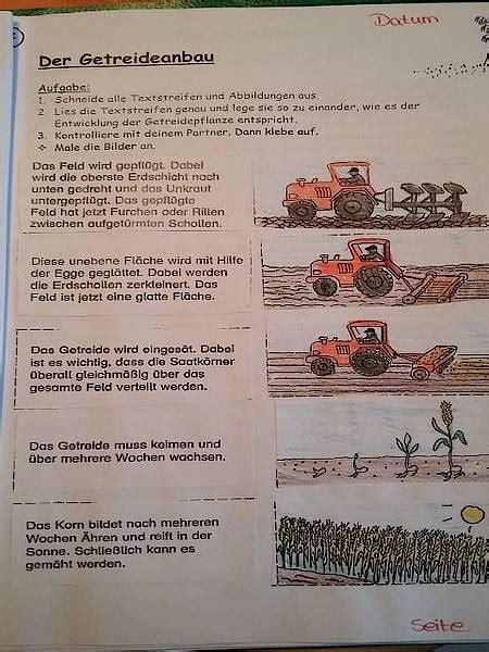 Petrischule H Xter Vom Korn Zum Brot