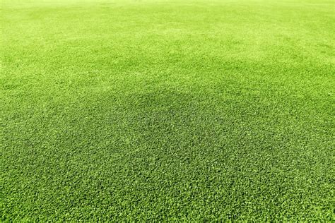 Golf green stock photo. Image of lawn, field, putting - 48783588