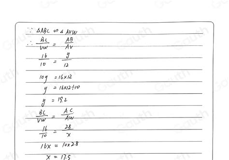 Solved If Triangle Abc Triangle Avw Find The Values Of X And Y X