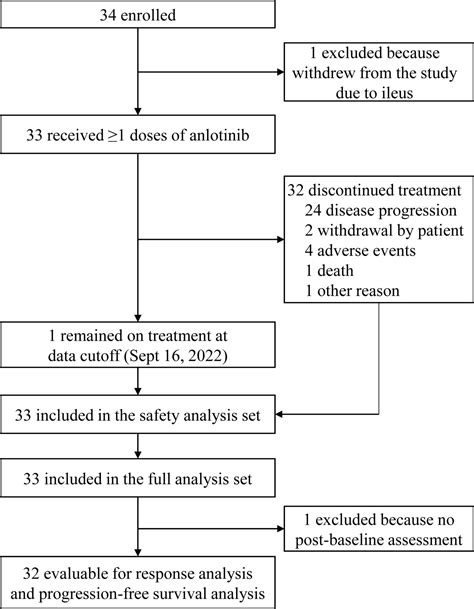 Anlotinib In Patients With Recurrent Platinum Resistant Refractory