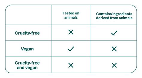 4 Reasons To Use Cruelty Free Skincare