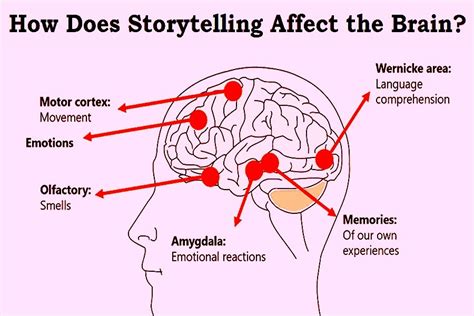 Importance Of Stories In Our Lives How Storytelling Affects The Brain