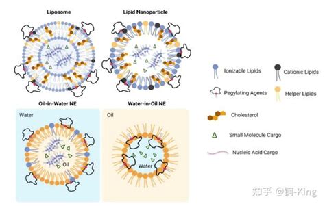脂质纳米颗粒lnp在肿瘤免疫治疗中的应用 知乎