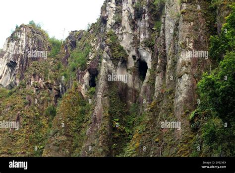 El Cirio Iconic And Sacred Site Otomi Tepehua Of Tenango De Doria