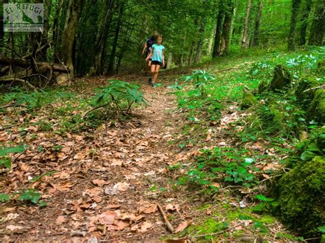 EL REFUGI ESCOLA DE NATURA I MUNTANYA On Twitter Per Arribar Fins Al