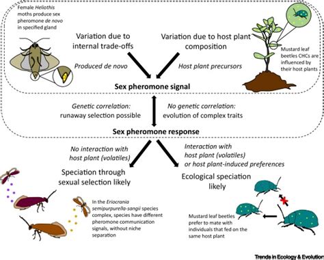 Cool New Review From Chiara Insect Chemical And Evolutionary Ecology