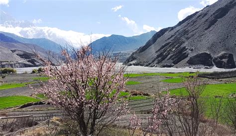 Annapurna Tilicho Lake Trek Annapurna Circuit Trekking