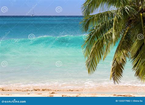 Turquoise Water Of Caribbean Sea Cayman Islands Stock Photo Image Of