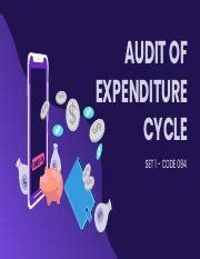 Audit Of Expenditure Cycle Pdf AUDIT OF EXPENDITURE CYCLE SET 1