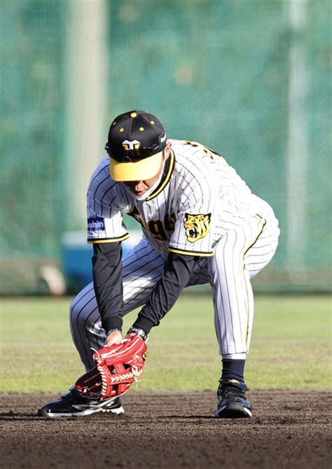 【虎になれ】来季阪神が優勝すれば岡田彰布監督の「そらそうよ」が流行語大賞だ 知らんけど 虎だ虎だ虎になれ！ 野球コラム 日刊スポーツ