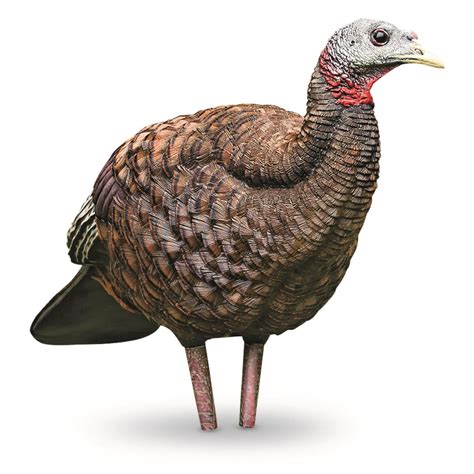 Avian X Lcd Breeder Hen Turkey Decoy Turkey Decoys At