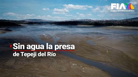 Toneladas de peces mueren en presa de Tepeji del Río por sequía YouTube