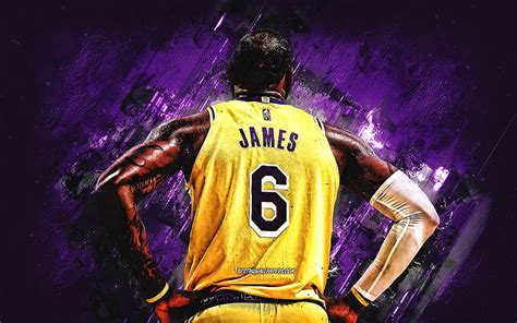 Lebron James Los Angeles Lakers Number Nba American Basketball