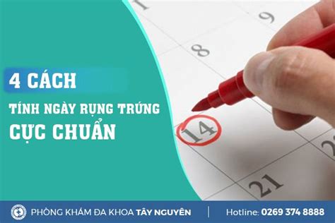 Tìm hiểu chi tiết 4 cách tính ngày rụng trứng cực chuẩn