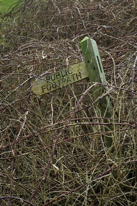 Wildeep S Illuminations Public Footpath Public Illuminations Nature