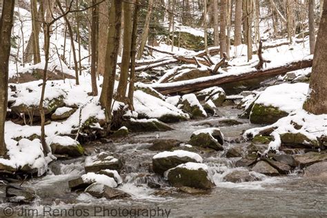 A Forest Stream Flowing Through a Winter Woodland, a Winter Country ...