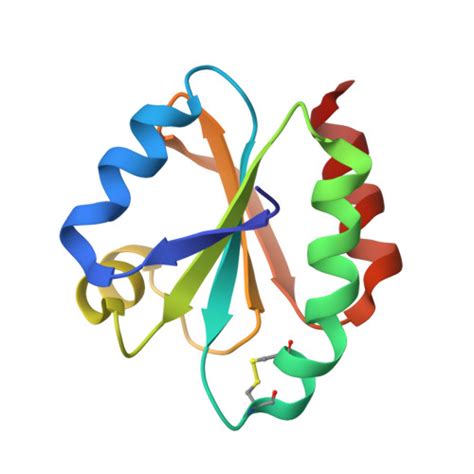 Rcsb Pdb Gh Crystal Structure Of The Catalytic Domain Of A New