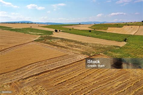 Aerial View Of Cropland With By Drone Stock Photo Download Image Now