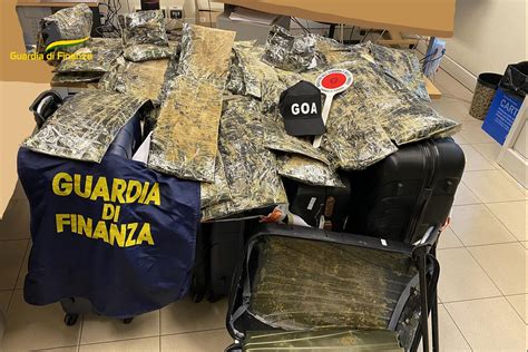 Traffico Internazionale Di Droga Arresti E Chili Di Eroina