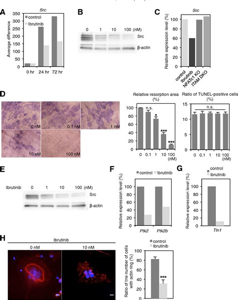 Figure From The Orally Available Btk Inhibitor Ibrutinib Pci