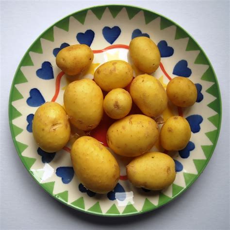potato recipes cooking wiki
