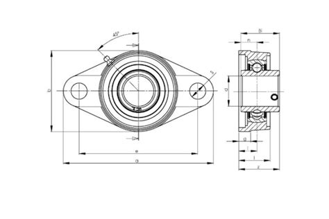 Nbr Ucfl Oval Flanged Housing Unit Platinum International