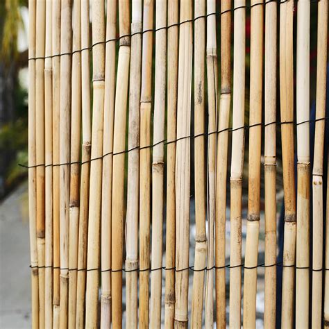 Buy Forever Bamboo Jumbo Reed Bamboo Screen Fencing Privacy Fence