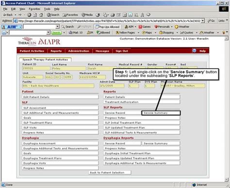 Step 3 Accessing The Service Summary Report