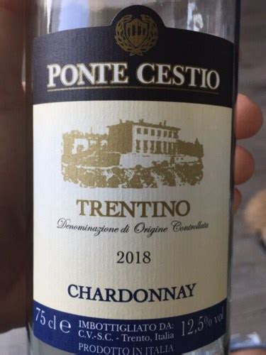 Ponte Cestio Chardonnay Vivino Us