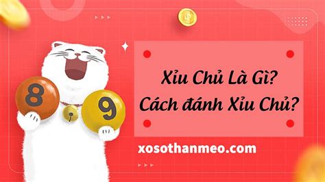 Xỉu Chủ Là Gì Cách Tính Xỉu Chủ Ăn Bao Nhiêu Tiền Xổ Số Thần Mèo