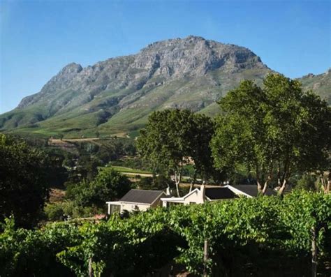 Luxury Accommodation in the Cape Winelands | Alluvia Boutique Winery