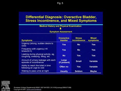 Classification Of Mixed Incontinence Ppt Download