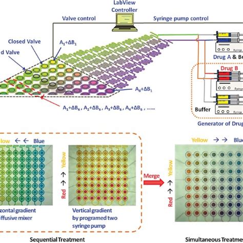 Cross Sectional View Of The Microfluidic Array Cross Sectional View Of