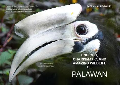 Wildlife of Palawan - Empowering minds