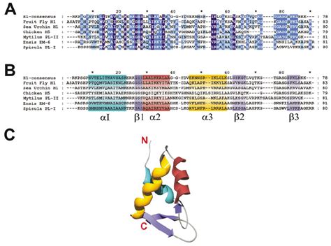 A Sequence Alignment Of Globular Core Regions Of Representative H1s