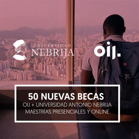 Becas Oij Universidad De Nebrija Verano 2020 Organismo