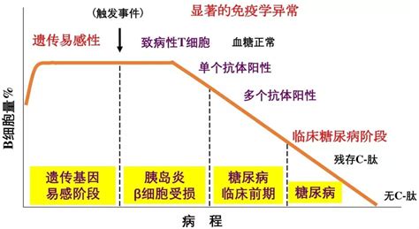 精准医学时代，1型糖尿病能否精准预测和预防？