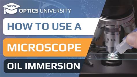 How To Use Oil Immersion Light Microscope Microscopy Oilimmersion