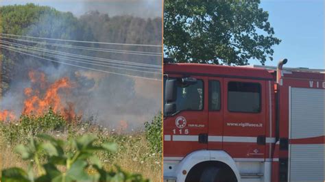 Incendio A Focene In Fiamme Un Campo Di Sterpaglie Ilfaroonline