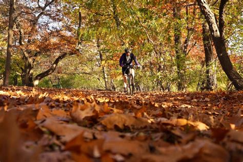 Viaggio Nella Natura Esplorando La Pista Ciclabile Pi Lunga D Italia