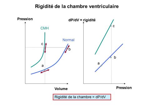 La Relation Pression Volume Echocardioblog