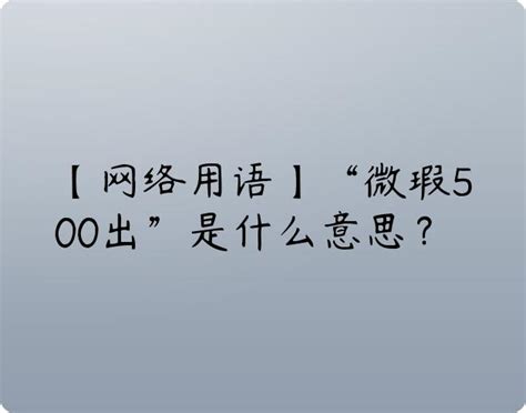 网络用语微瑕500出是什么意思 布丁导航网