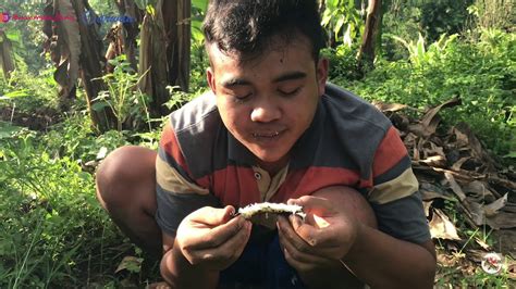 Cara Bertahan Hidup Di Hutan Ala Wanmukbang Survival Di Hutan Liar