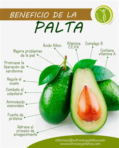 Nutricion Estetica Beneficios De La Palta Nutricionista Lima