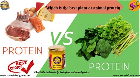 Protein In Plant Vs Protein In Animal | SureshFoods.com