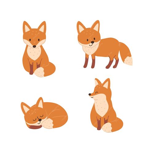 Premium Vector | Set with cute foxes in different poses collection of ...