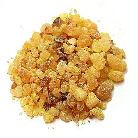 Frankincense in Aromatherapy - Trees, Tears and Essential Oils ...