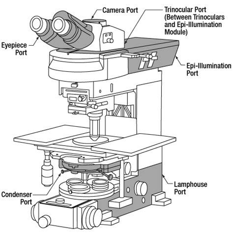 Nikon Microscope Replacement Parts | Reviewmotors.co