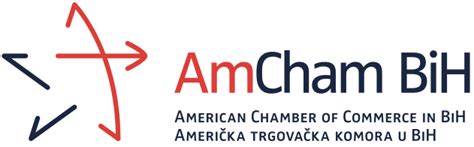 amcham bih leader roots program amcham bih amcham bih  powerful